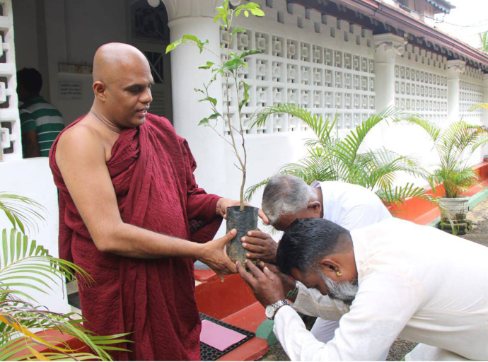 කළුතර බෝධීන් වහන්සේ ඉදිරිපිට ඔසු පැළ බෙදාදීමක්