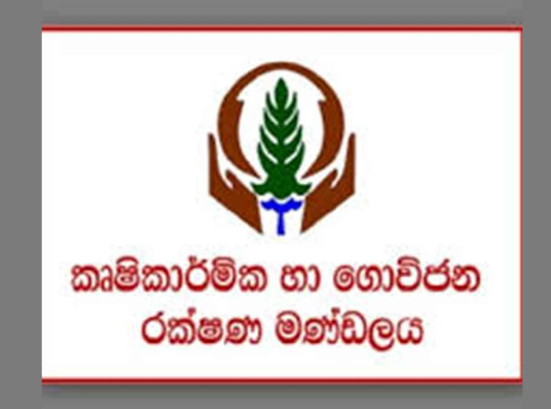 2024 යල කන්නයට අදාළ සියලු වන්දි මුදල් ගෙවා අවසන්