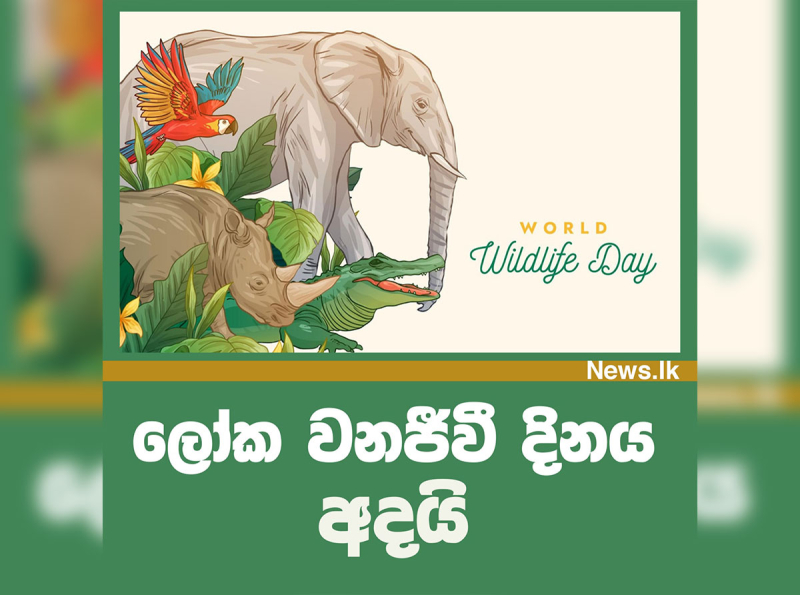 ලෝක වනජීවි දිනය අදයි