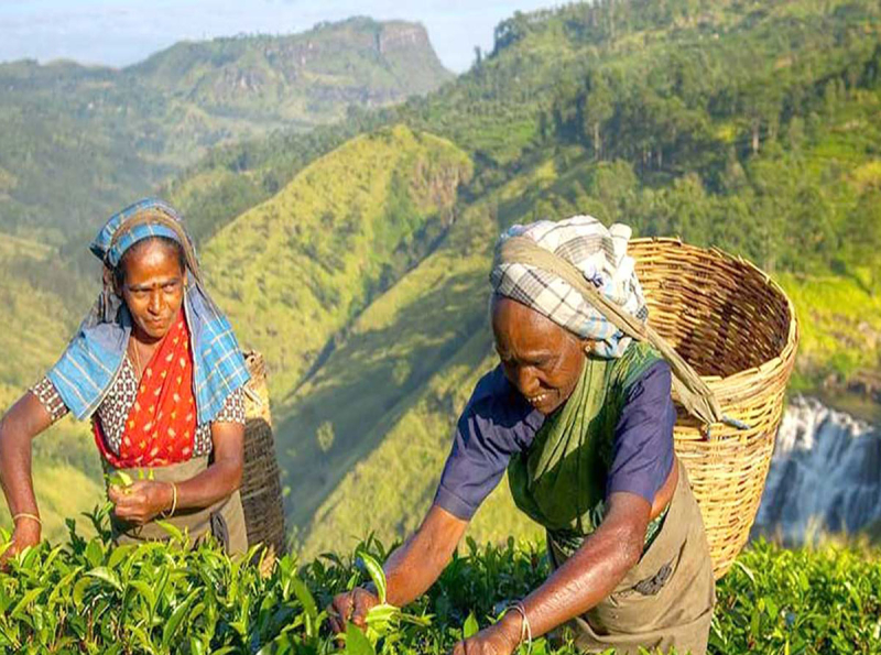 ඉදිරියේදී වතුරෝහල් සම්බන්ධයෙන් විශේෂ අවධානය