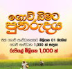 ගොවිබිමට පුනරුදය අද ඇරඹෙයි
