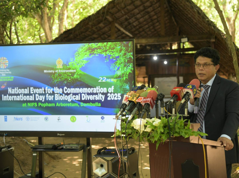 අන්තර්ජාතික ජෛවවිවිධත්ව දිනය දඹුල්ල පොපම් ආබරේටම් වන උද්‍යානයේදී සමරයි