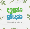 ජගත් පරිසර සතිය හෙටින් ඇරඹේ 
