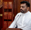 ජගත් පරිසර දින ජාතික උත්සවය ජනපති ප්‍රධානත්වයෙන් අද  කෑගල්ලේදී
