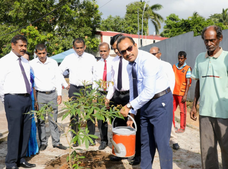 පරිසර දිනයට සමගාමීව  පැළ 1,000 ක් සිටුවීමේ ව්‍යාපෘතියක්