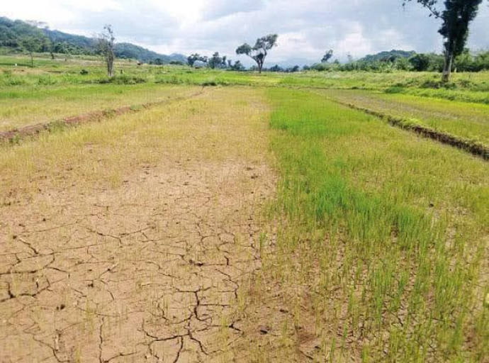 වගා කරන ඕනෑම වගාවක් සඳහා කෘෂි රක්ෂණ මණ්ඩලයෙන් රක්ෂණාවරණයක් ලබා දීමේ යෝජනාවක්