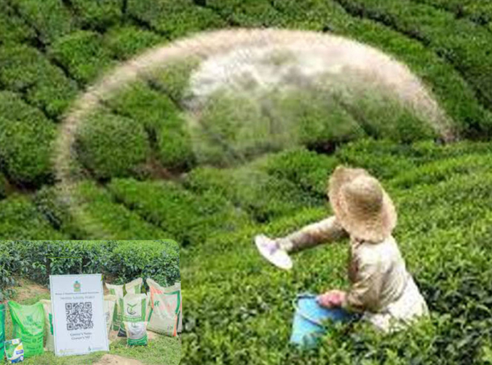 මුල් මාසයේම QR ක්‍රමයට තේ පොහොර ලබාදීමේ ඉහල ප්‍රගතියක්