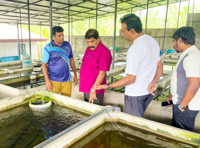 උතුරු හා නැගෙනහිර පළාත්වල විසිතුරු මත්ස්‍ය නිෂ්පාදන කර්මාන්තය ඇරඹීමට සාකච්ඡා