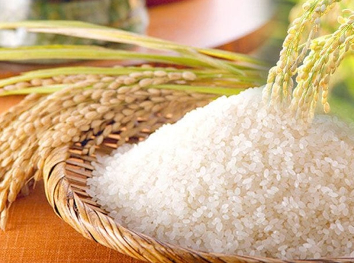 සම්බා හා කීරි සම්බා වී මිලදී ගැනීමේ අවම මිල ඉහළට