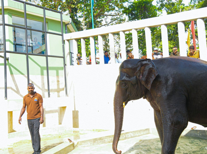 පින්නවල අලි සංරක්ෂණ මධ්‍යස්ථානයේ 51 වන සංවත්සරය නිමිත්තෙන් “නිදහස් අලි අරණ” විවෘත කෙරේ