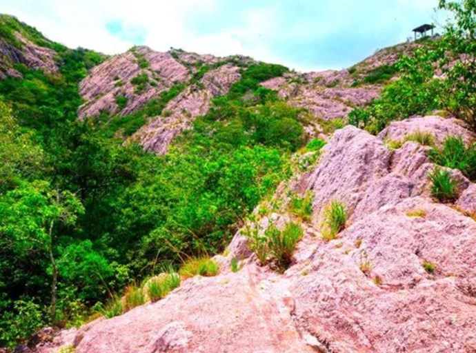 ජාතික නාමල් උයන ජාතික උරුමයක් ලෙස ප්‍රකාශයට පත් කිරීමට කැබිනනට් අනුමැතිය