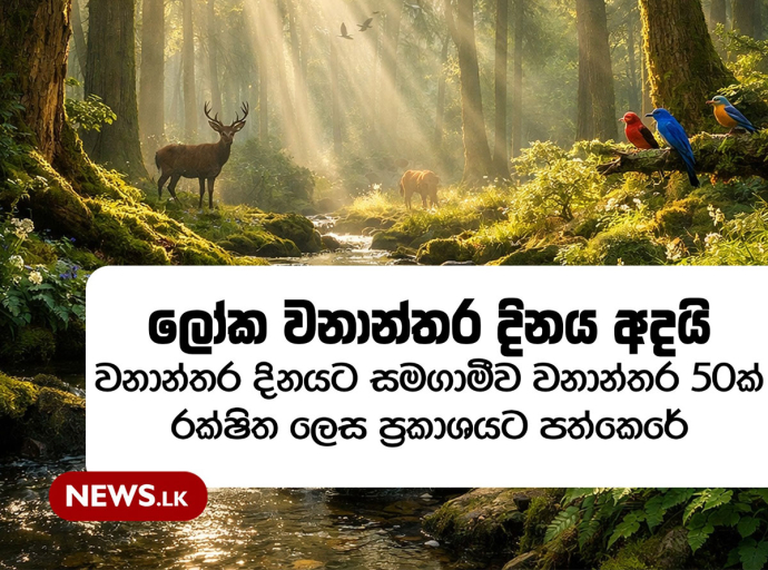 ලෝක වනාන්තර දිනය අදයි 