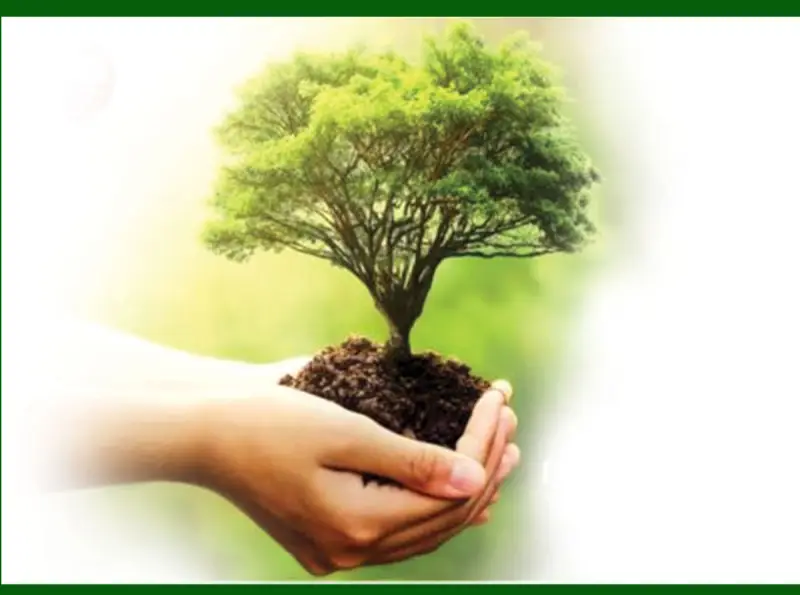 ජගත් වනාන්තර දිනයේ තවත් වනාන්තර 50 ක් රක්ෂිත කෙරේ 