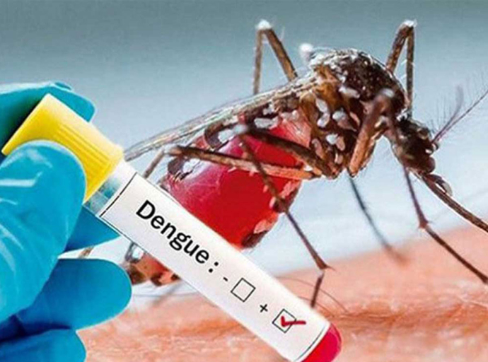මාතර ඩෙංගු මර්දනයට කඩිනම් වැඩපිළිවෙළක් 