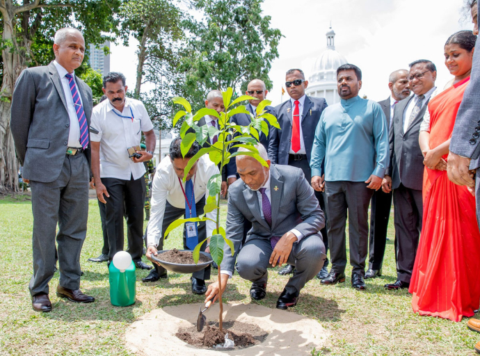 මාලදිවයින් ජනාධිපතිවරයා පැළයක් රෝපණය කරයි   