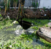 ගුවන්තොටුපළ ප්‍රවේශ මාර්ග ජලයෙන් යටවීමේ ගැටලුවට කඩිනම් විසඳුම්