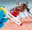 ජාතික ඩෙංගු මර්දන සතිය අද සිට ඇරඹෙයි