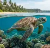 ලෝක මුහුදු කෑස්බෑවුන්ගේ දිනය අදයි