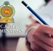 අධ්‍යයන පොදු සහතික පත්‍ර සා.පෙළ  විභාගයේ ප්‍රතිඵල නිකුත් කෙරේ