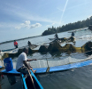 මිරිදිය ඉස්සන් වගාවේ වර්ධනයක්