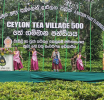 ජාතික තේ ඉලක්කය වෙනුවෙන් “Ceylon Tea Village” ජාතික වැඩසටහන ඇරඹේ