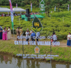 “Ceylon Tea Village” (සිලෝන් ටී විලේජ්) ජාතික වැඩසටහන ඇරඹේ