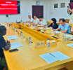 අලි-මිනිස් ගැටුමට විසඳුම් ලෙස උණ බම්බු ‘ජෛව වැට’ (Bio-fence) ඉදිකිරීමේ යෝජනාවට චීනයේ සහාය