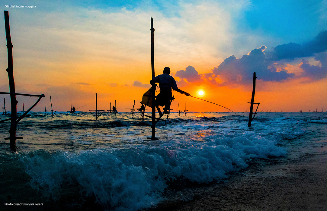 Stilt fishing in Koggala Photo Creadit Ranjini Perera