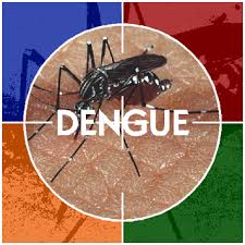 a dengu