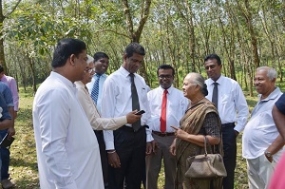 පණ්ඩිත් අමරදේවයන්ගේ සංගීත අසපුව ඉදිකිරීමට ඉඩම හොරණින් සොයා ගනී