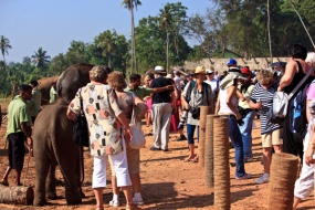 ඔස්ට්‍රේලියා යාත්‍රික සංචාරකයන් 441ක් පින්නවල සංචාරයක