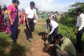 ලෝක හරිත දින සැමරුම - 2018, සමගාමීව රුක් රෝපණ වැඩසටහනක්