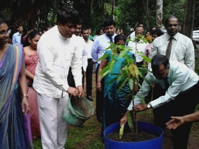 ජාතික ආහාර නිෂ්පාදන සංග්‍රාමය හා වනරෝපා - 2017 ගම්පහ දිස්ත්‍රික් වැඩසටහන