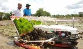 පැරිෂුට් ක්‍රමය හා යාන්ත්‍රික පැළ සිටුවන භාවිතය ප්‍රචලිත කිරීම