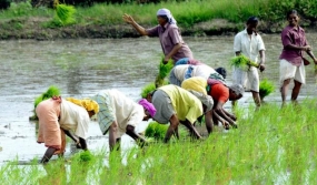 ලබන වසරේ මහවැලි වර්ණ ප්‍රදානෝත්සවයක්