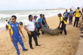 වෙරළ සුරක්ෂිත සතියට වරාය සේවකයින් එක් වෙයි