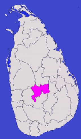 මහනුවර දිස්ත්‍රික්කයෙන් දින 100ට වැඩ 100ක්