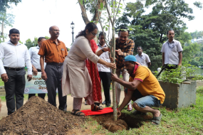 &#039;ලෝකයට පැළයක්&#039; වැඩසටහන මහනුවර දී