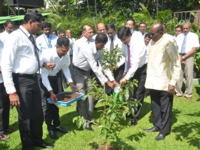 පදවි ප්‍රාප්තිය සමරමින් විශේෂ රුක් රෝපණ වැඩසටහනක්