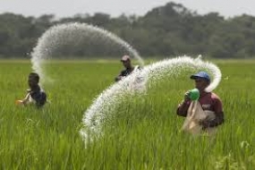 මුදල් අයකිරීමෙන් තොරව ගොවීන්ට ගොවි රක්ෂණය ලැබෙයි