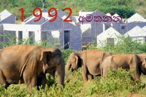 අලි මිනිස් ගැටුම් අවම කිරීමට හදිසි ඇමතුම් අංකයක්