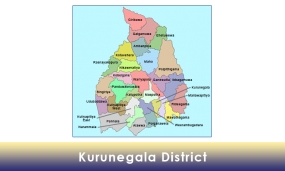 කුරුණෑගල දිස්ත්‍රික්කයේ ඡන්ද ගණන් කිරීම මධ්‍යස්ථාන 4ක දී