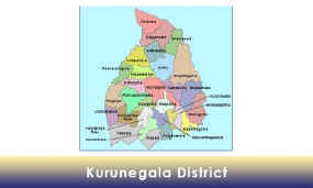 කුරුණෑගල දිස්ත්‍රික්කයෙන් මැතිවරණයට පක්ෂ 12ක් හා ස්වාධින කණ්ඩායම් 14 ක්