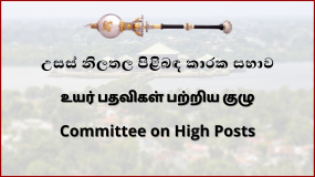 තනතුරු කිහිපයකට උසස් නිලතල පිළිබඳ කාරක සභාවේ නිර්දේශය