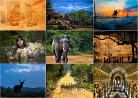 ශ්‍රී ලාංකික විචිත්‍රත්වය ඇමෙරිකාවට ගෙන යන “The Beauty Of Sri Lanka 2019 “අන්තර්ජාතික ඡායාරූප ප්‍රදර්ශනය