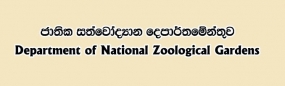 2017 දී ජාතික සත්වෝද්‍යාන දෙපාර්තමේන්තුවේ ආදායම මිලියන 762ක්