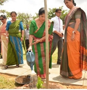 නව ආදර්ශ කෘෂි බෝග හා ඔසු උයනක් පිහිටවීම අම්පාරේ දී ඇරඹේ