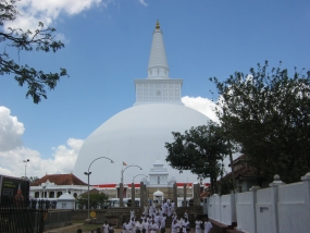 නෙළුම් මල් පූජාව අද රුවන්වැලි සෑ පුදබිමේ දී