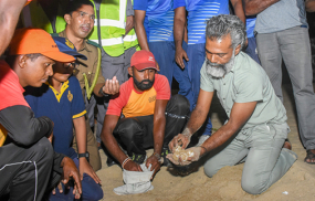 කැස්බෑ බිත්තර සංරක්‍ෂණය පිළිබඳ දැනුවත් කිරීමේ වැඩසටහනක් ගාලු මුවදොරදී