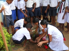 පොළොන්නරුව දිස්ත්‍රික් පරිසර නියමු කඳවුර තෝපාවැව මහාවිද්‍යාලයේ දී